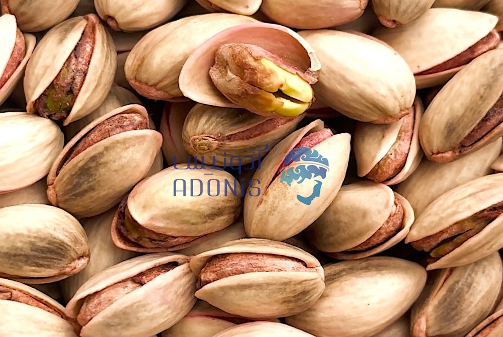 Pistachios Aegina Credit Greek Reporter بلاگ