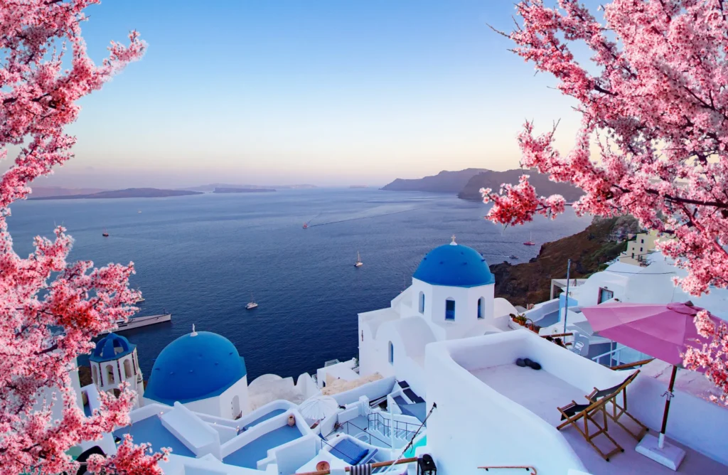 beautiful view of oia santorini greece with pink blossoms flowers at beautiful spring sunset vintage colored picture business love and travel concept 51240363251 o scaled 11zon بلاگ beautiful view of oia santorini greece with pink blossoms flowers at beautiful spring sunset vintage colored picture business love and travel concept 51240363251 o scaled 11zon بلاگ